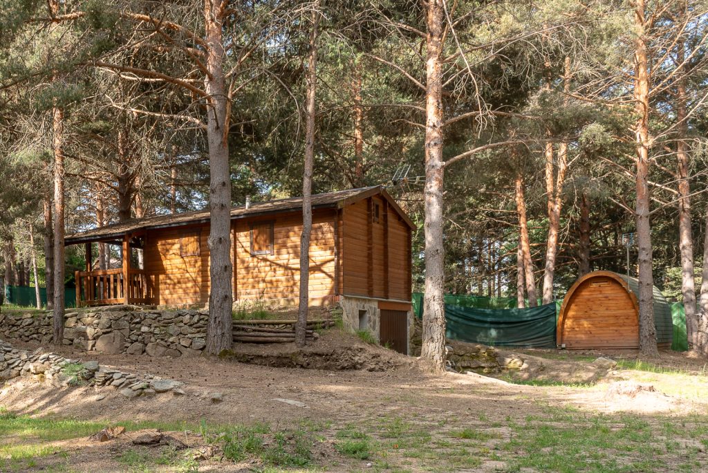 Cabañas entre pinos