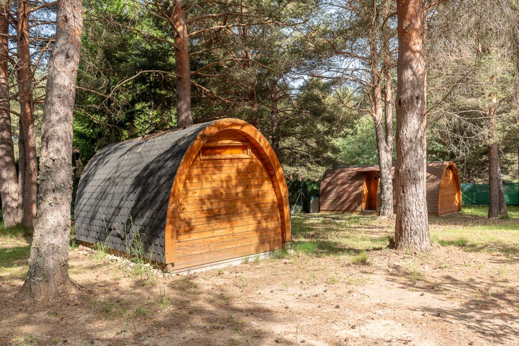 Exterior cabaña entre pinos