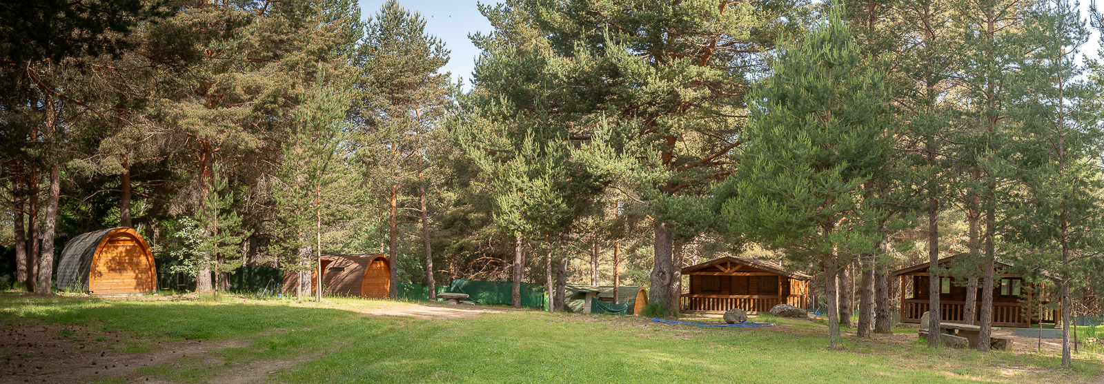 Panoramica de las cabañas entre pinos