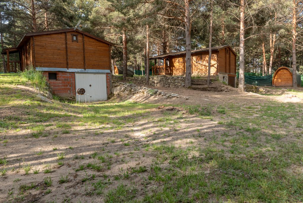 Vista cabaña entre pinos